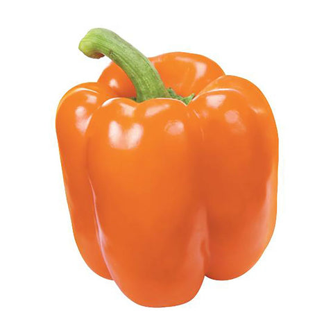 Orange Pepper (3 units)